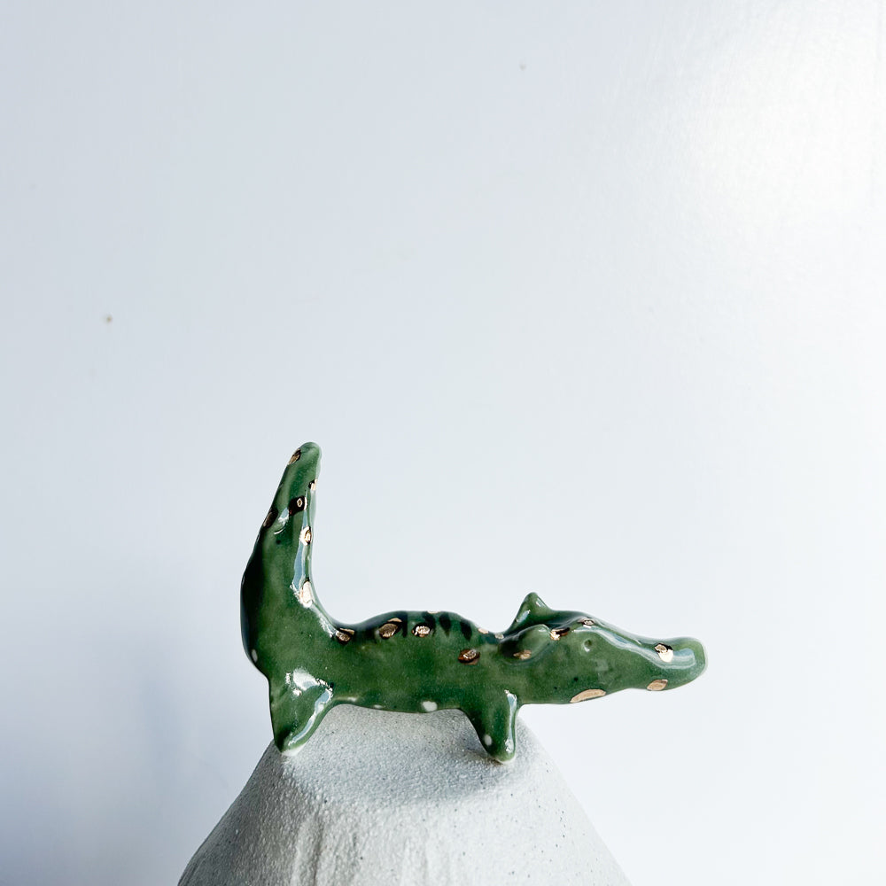 Alligator Snappy — playful, not scary, just full of personality.