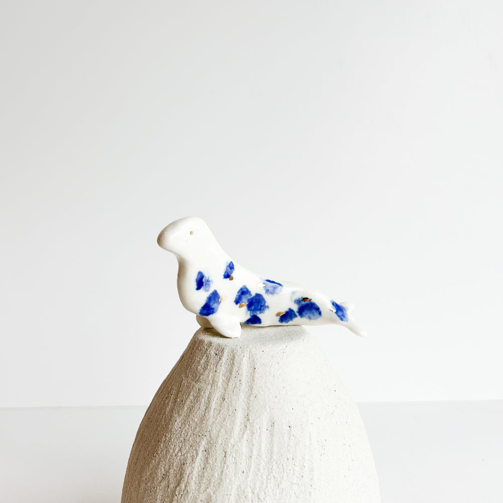 Sandy the Seal, a playful little ocean friend who loves sunny beaches and gentle waves.