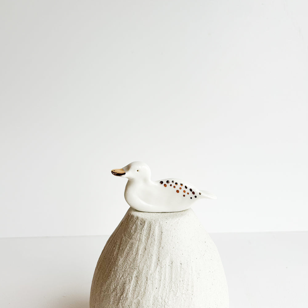 Daisy the Duck, a cheerful little paddler who brightens every pond she visits.