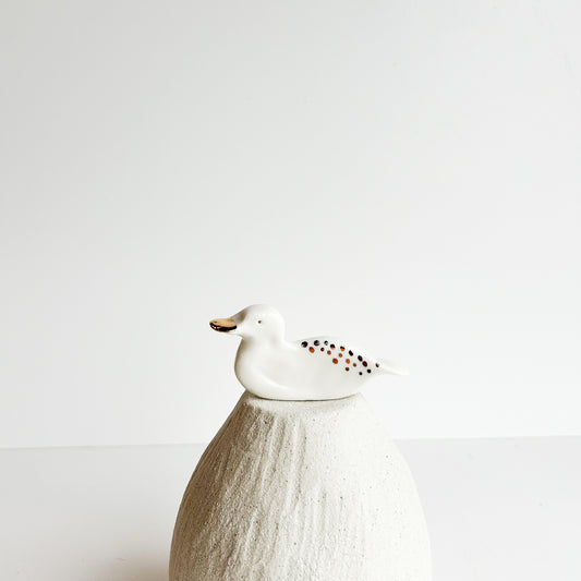 Daisy the Duck, a cheerful little paddler who brightens every pond she visits.