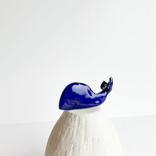 Bubbles the Whale a playful little whale who loves making a splash.