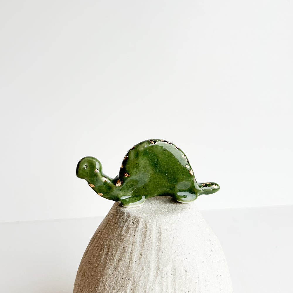 Tortoise Tucker — a calm little traveler who takes life one step at a time.