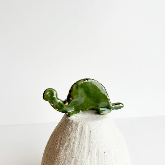 Tortoise Tucker — a calm little traveler who takes life one step at a time.