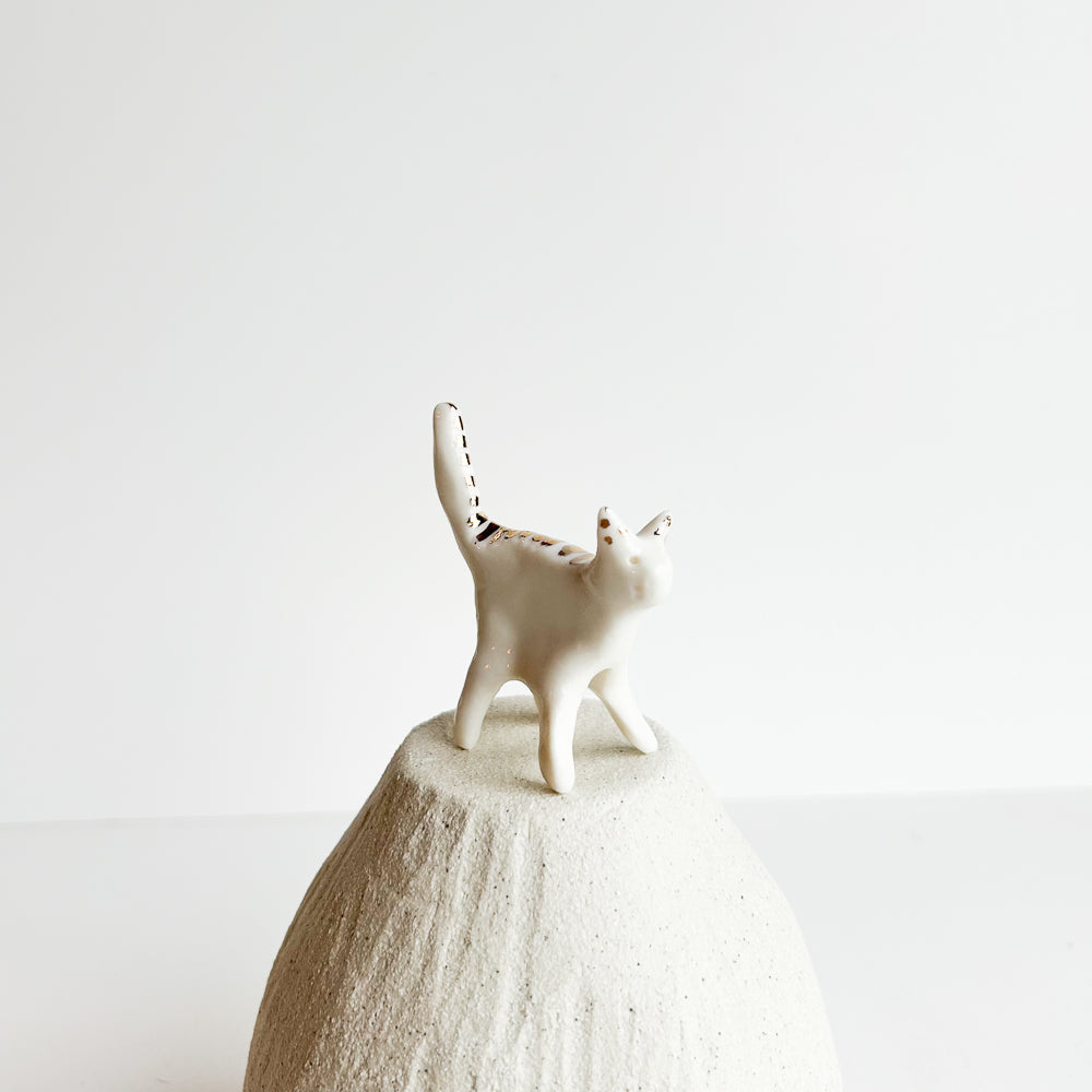 Kitten Pip — curious, quick, and always exploring.