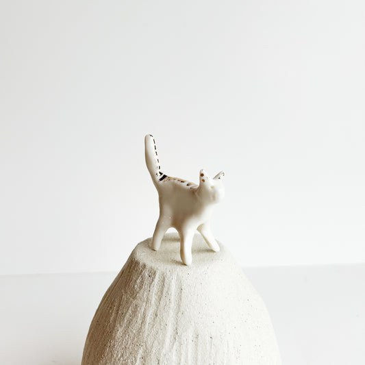 Kitten Pip — curious, quick, and always exploring.