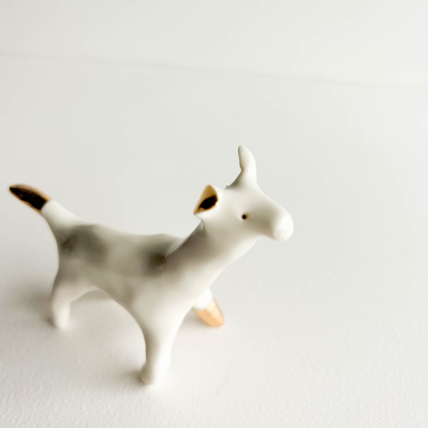 Porcelain Dog