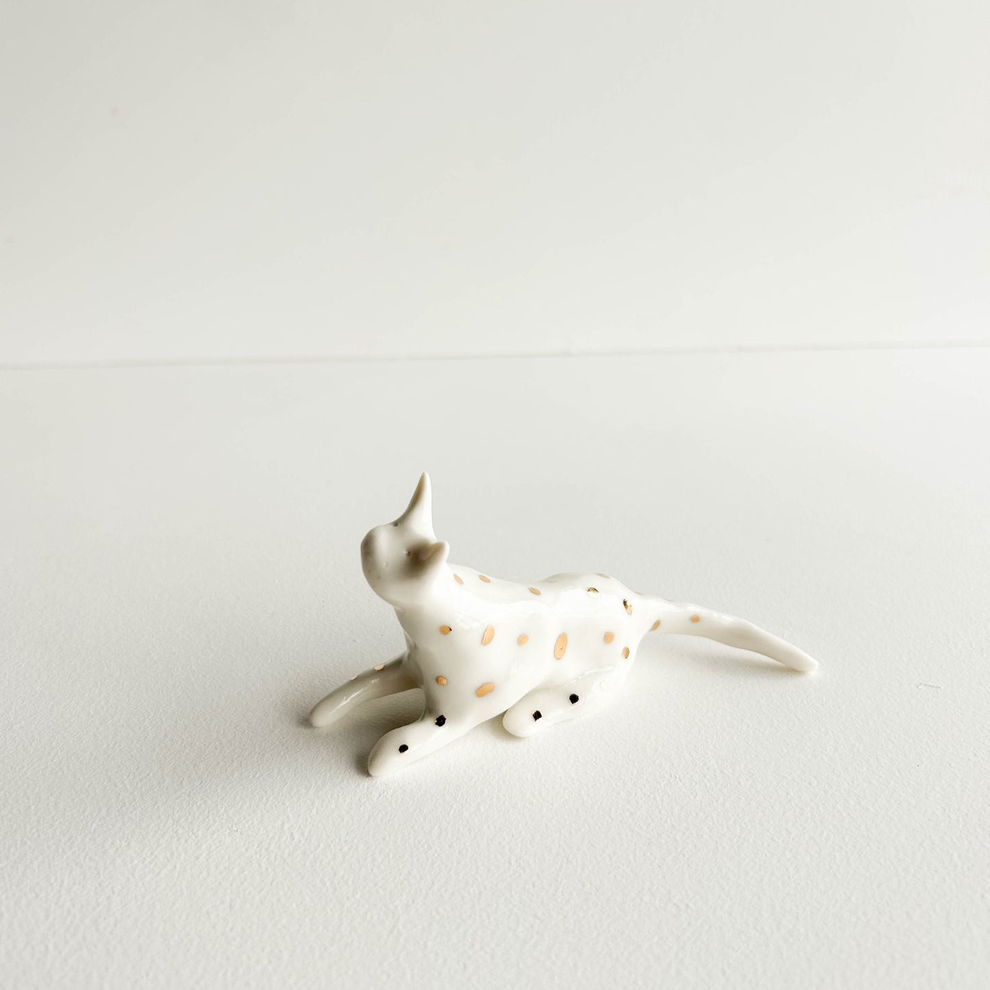 Porcelain CAT