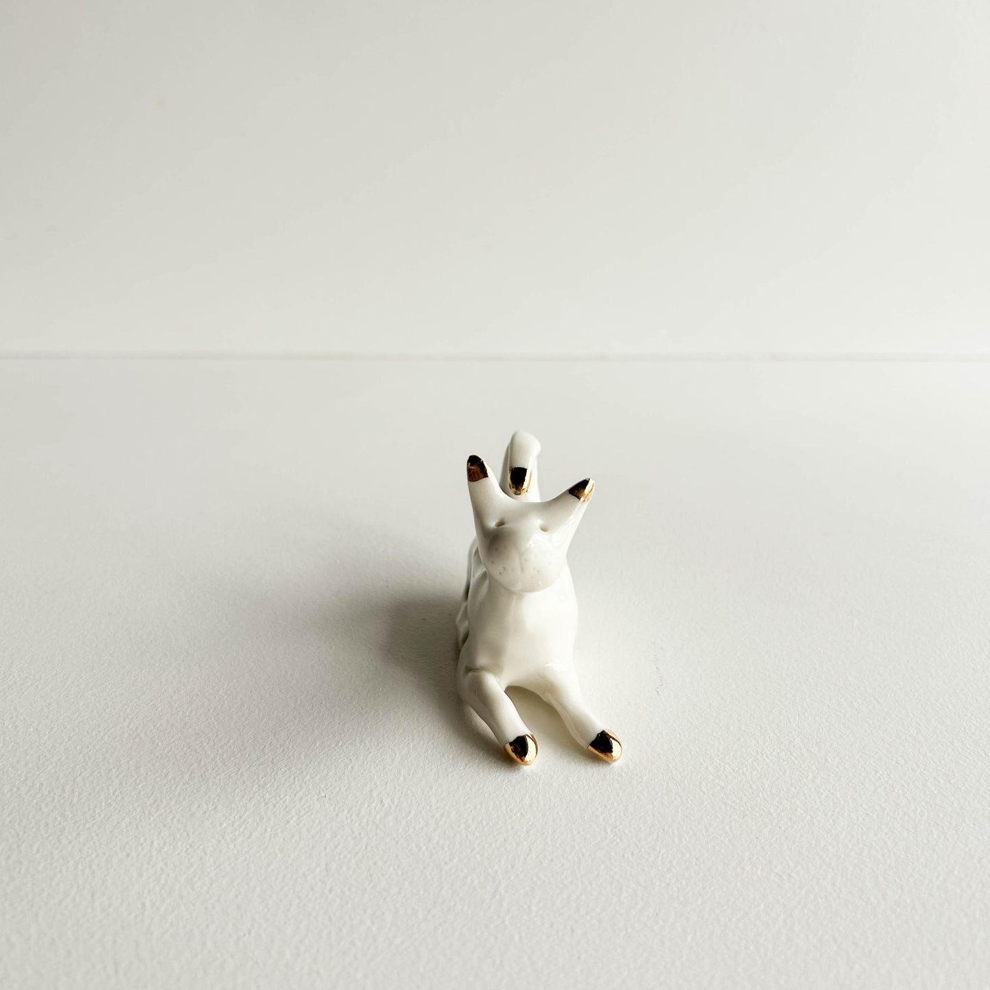 Porcelain CAT