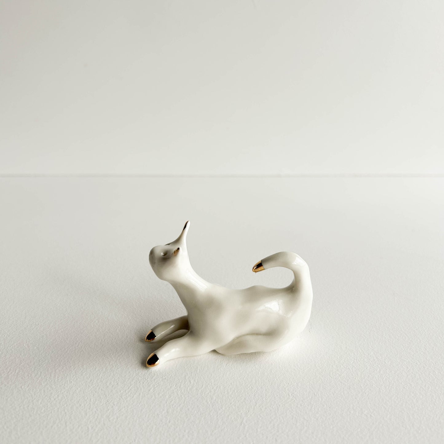 Porcelain CAT