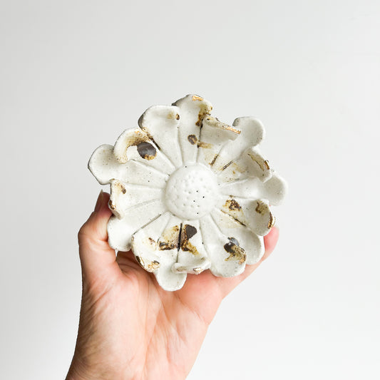 Wall Flower