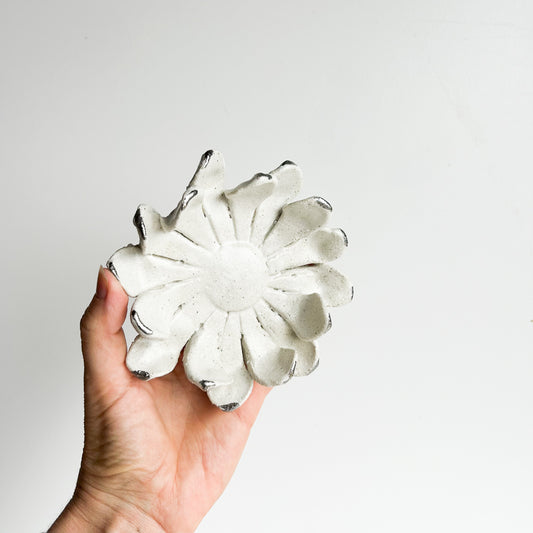 Wall Flower