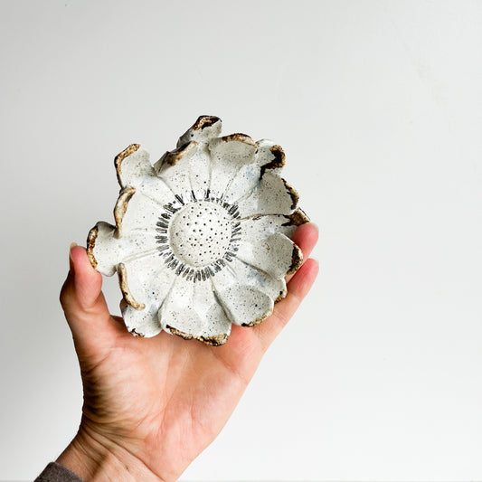 Wall Flower