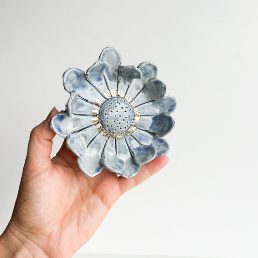 Wall Flower