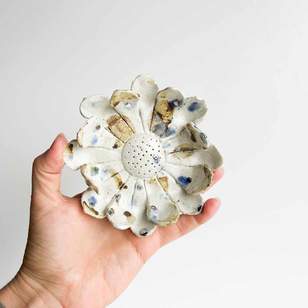 Wall Flower