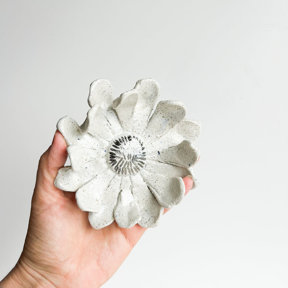 Wall Flower