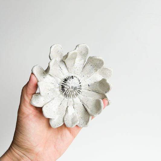 Wall Flower