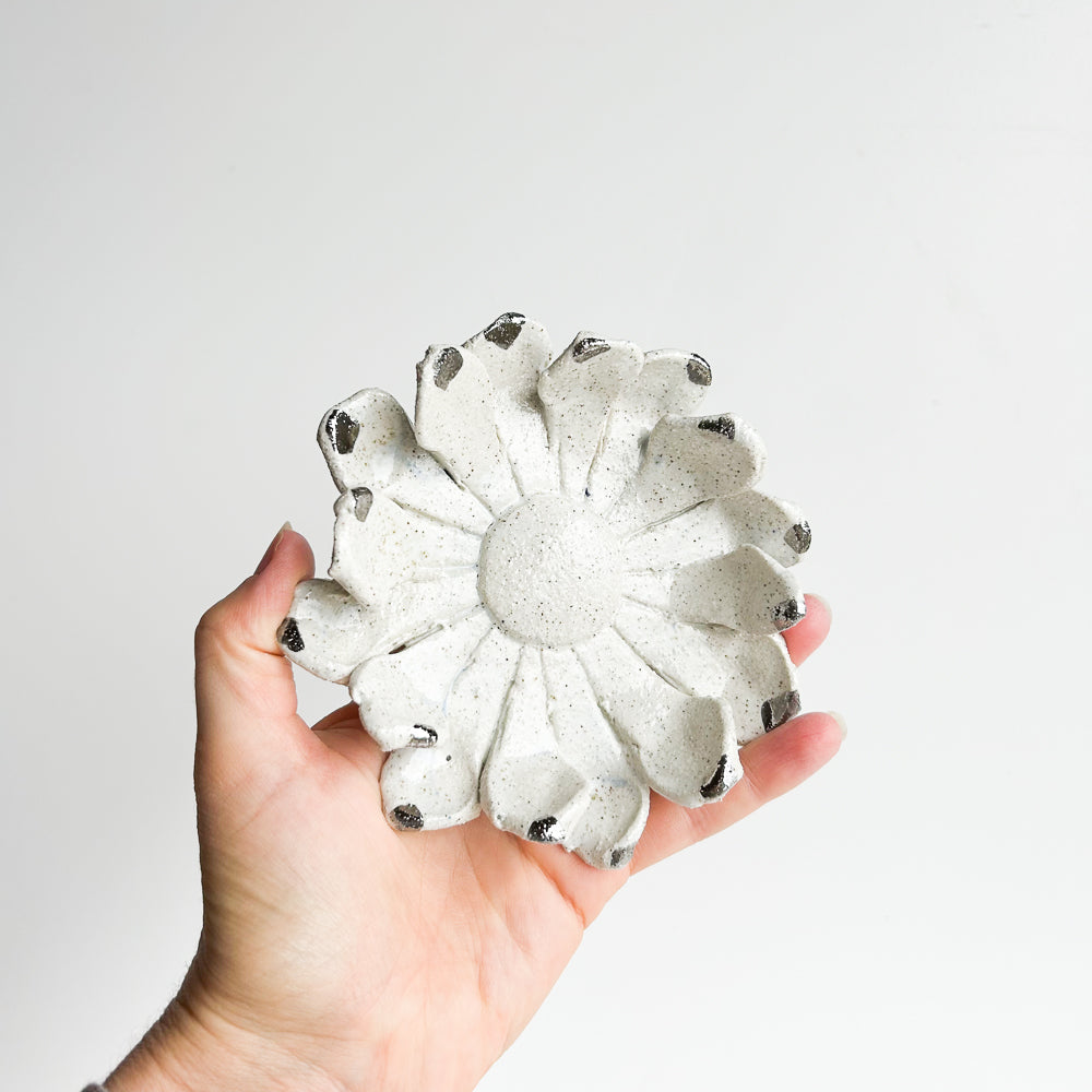 Wall Flower