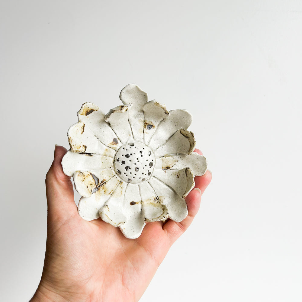 Wall Flower