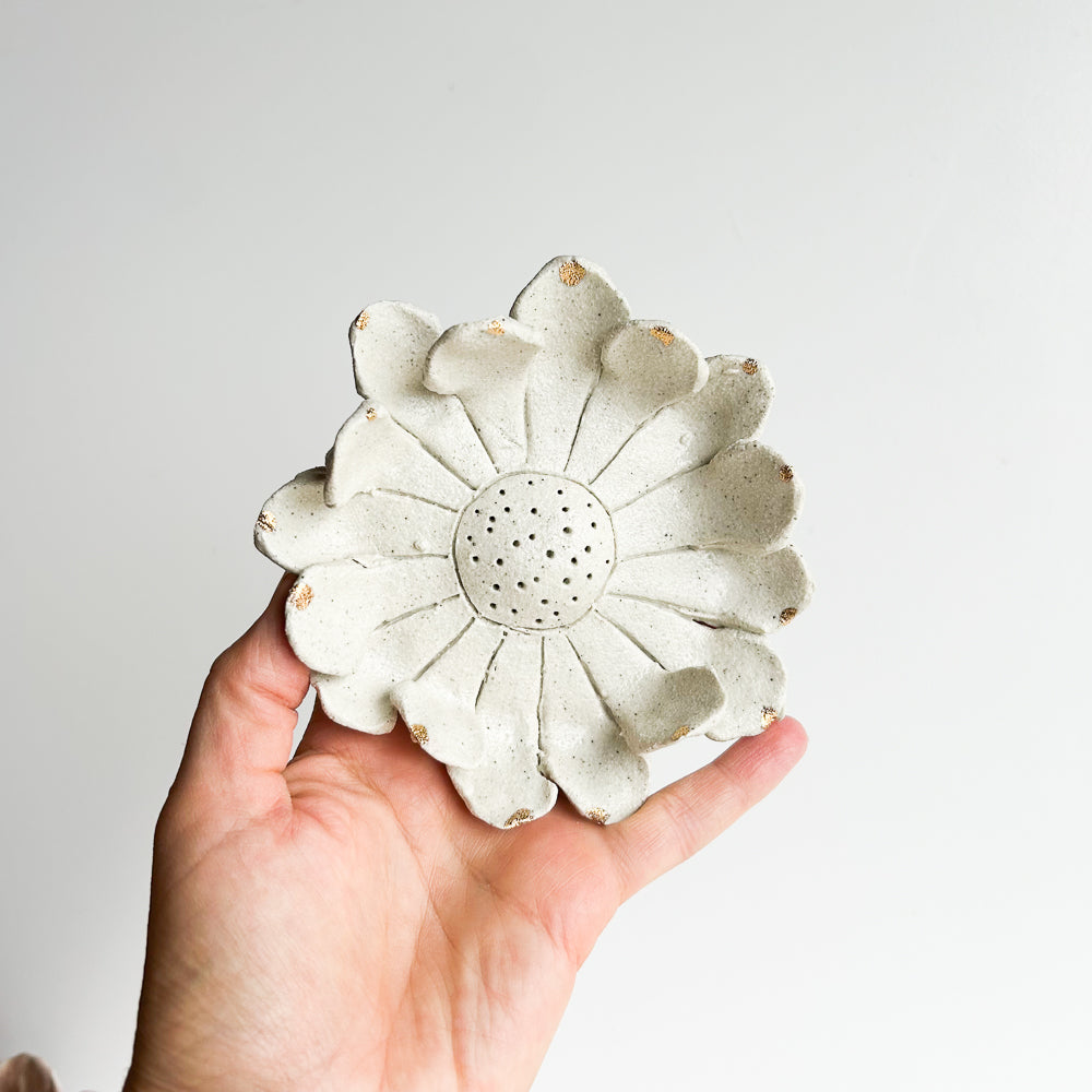 Wall Flower