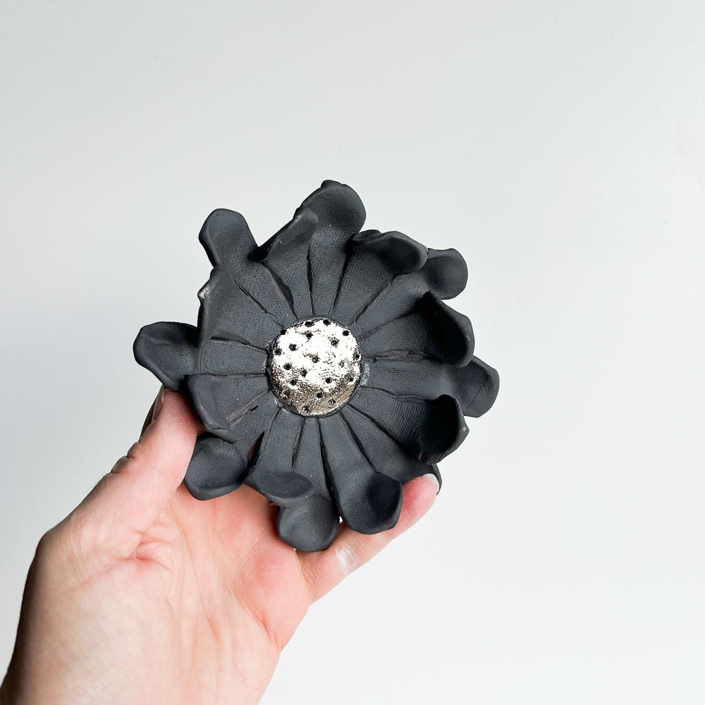 Wall Flower