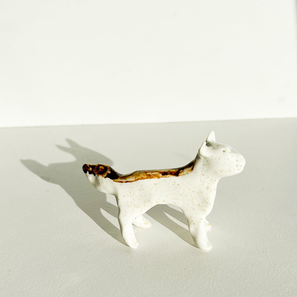 Duke the Dog brave, loyal, and always by your side.