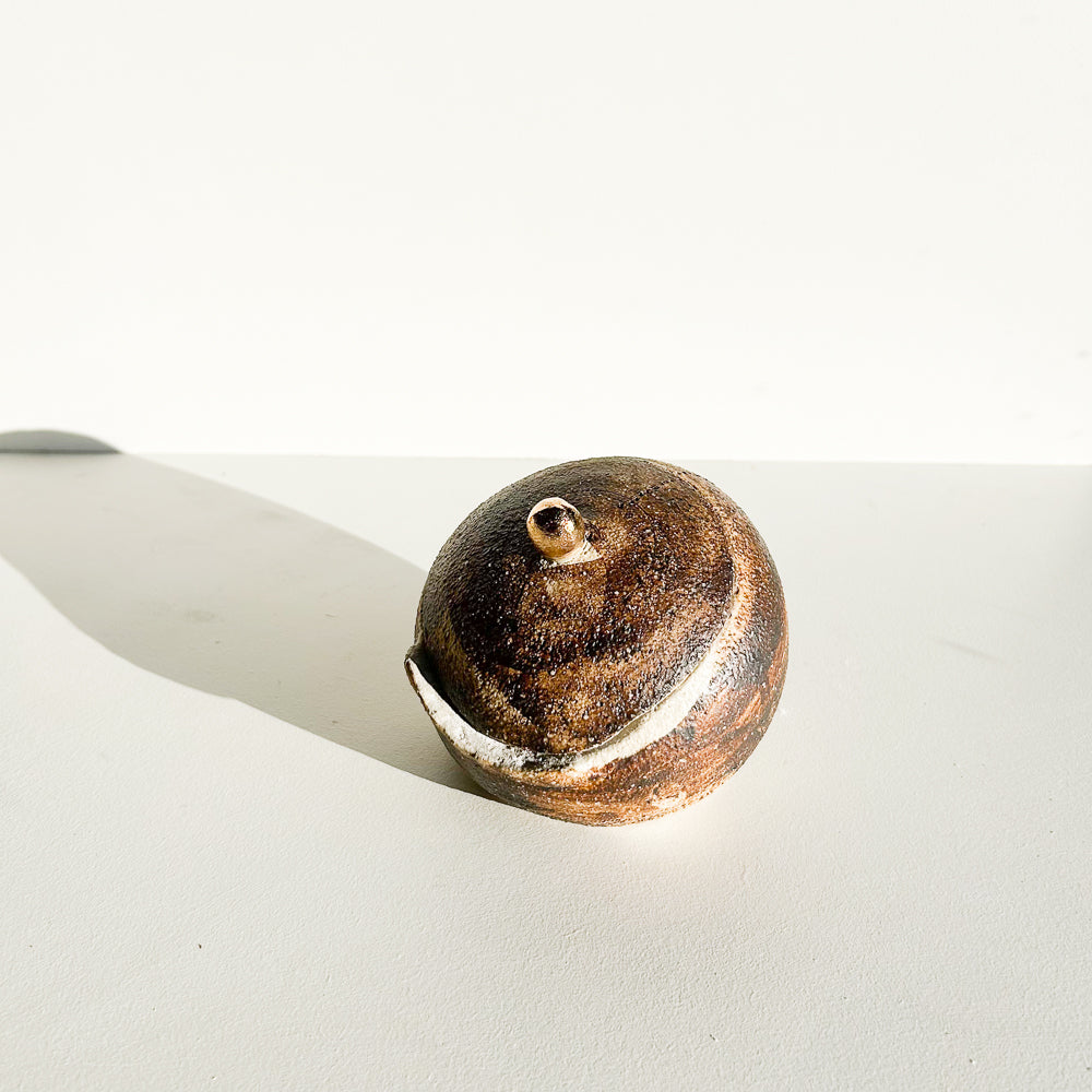 Salt Pod lidded